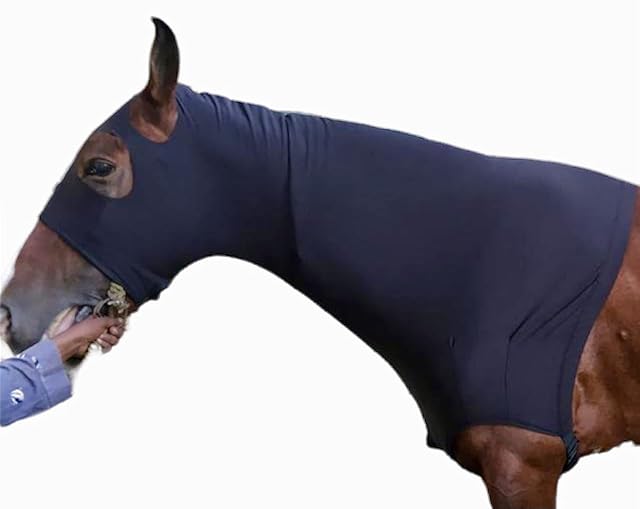 Foto 8 de 8 de Majestic Ally Capucha elástica de Licra para Caballo con Cremallera (M, Negro)