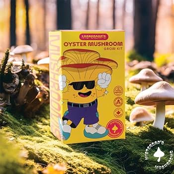 mushroom　準備中 楽天市場】【全商品ポイント10倍！楽天スーパーセール限定☆要