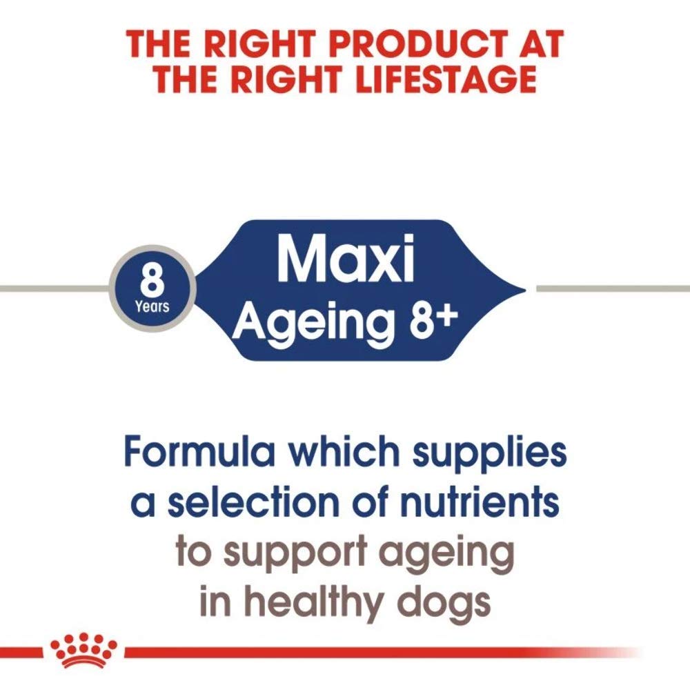 ROYAL CANIN Cibo umido Maxi età 8+ pezzi di carne in salsa per cani senior di grandi razze – Scatola 10 x 140 g (borse)