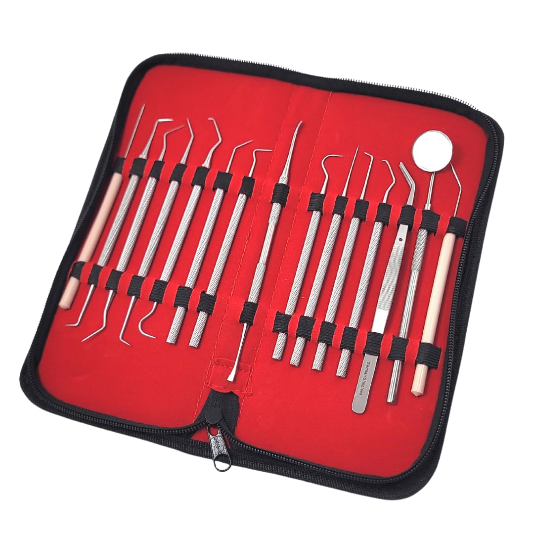 15 Pcs Dental Hygiene Tool Set Stainless Steel Dental Picks and Tweezers, Mouth Mirror, Tooth Scraper Plaque Tartar Calculus Remover for Fresh Breath Personal Oral Gum Care & Pet Use