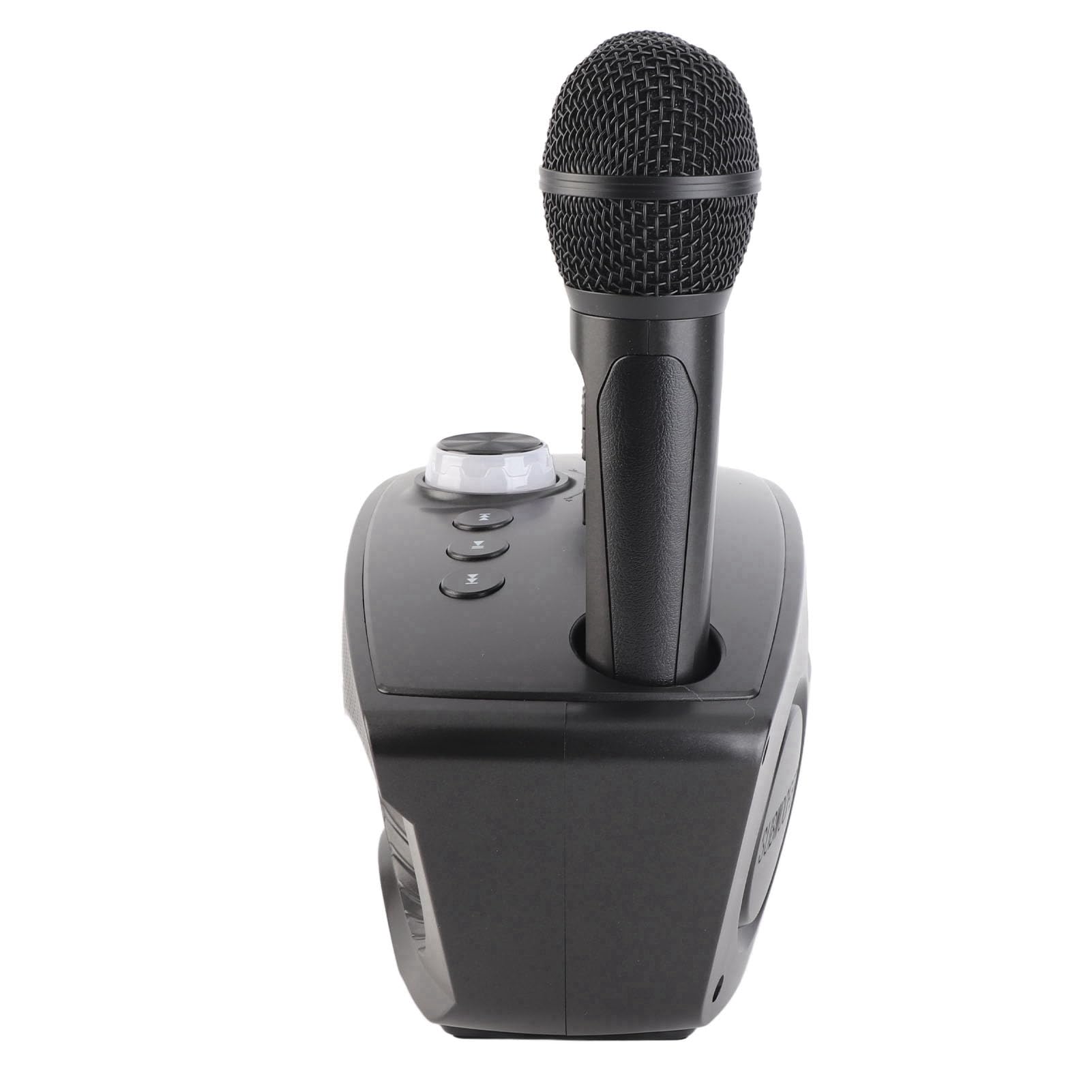Altavoz Portátil para Karaoke en Casa con Micrófonos Duales, Entrada Auxiliar para Dispositivos Externos, Ideal Reuniones Familiares y Fiestas (Negro)