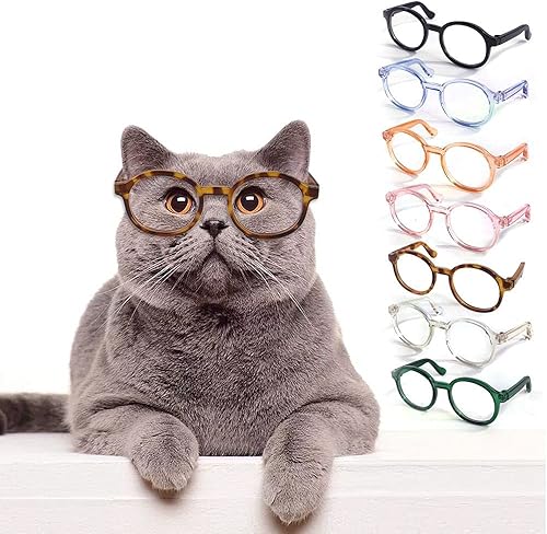 7 piezas de plástico transparente para gatos y perros, gafas para mascotas, disfraz de perro de Halloween, accesorios para fotos, decoración de