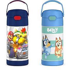THERMOS FUNTAINER 12 Ounce Stainless Steel Vacuum Insulated Kids Straw Bottle Super Mario Brothers FUNTAINER 12 Ounce Stainless