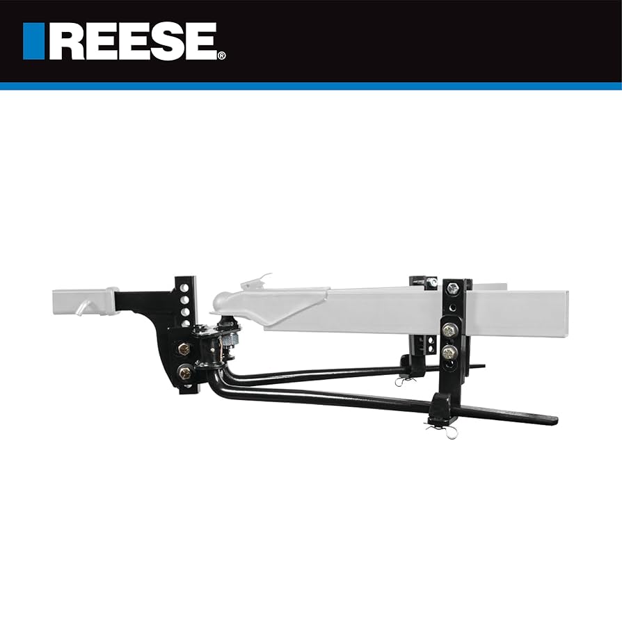 Amazon.com: REESE 49911 Integrated Sway Control Weight