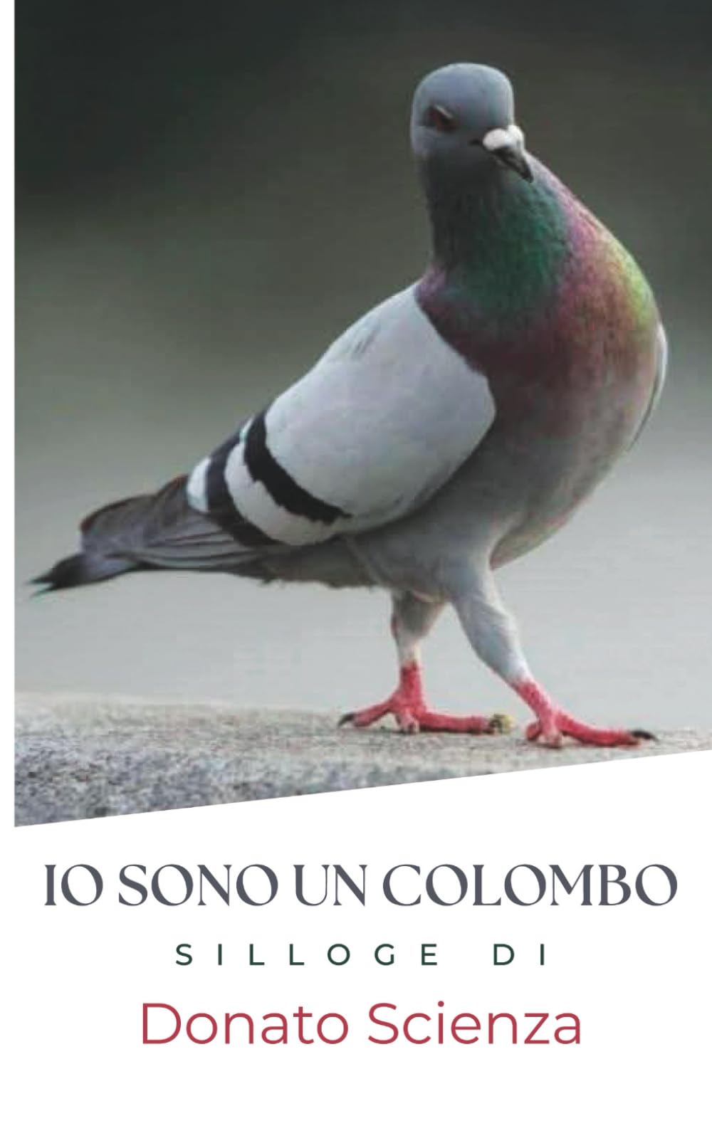 IO SONO UN COLOMBO