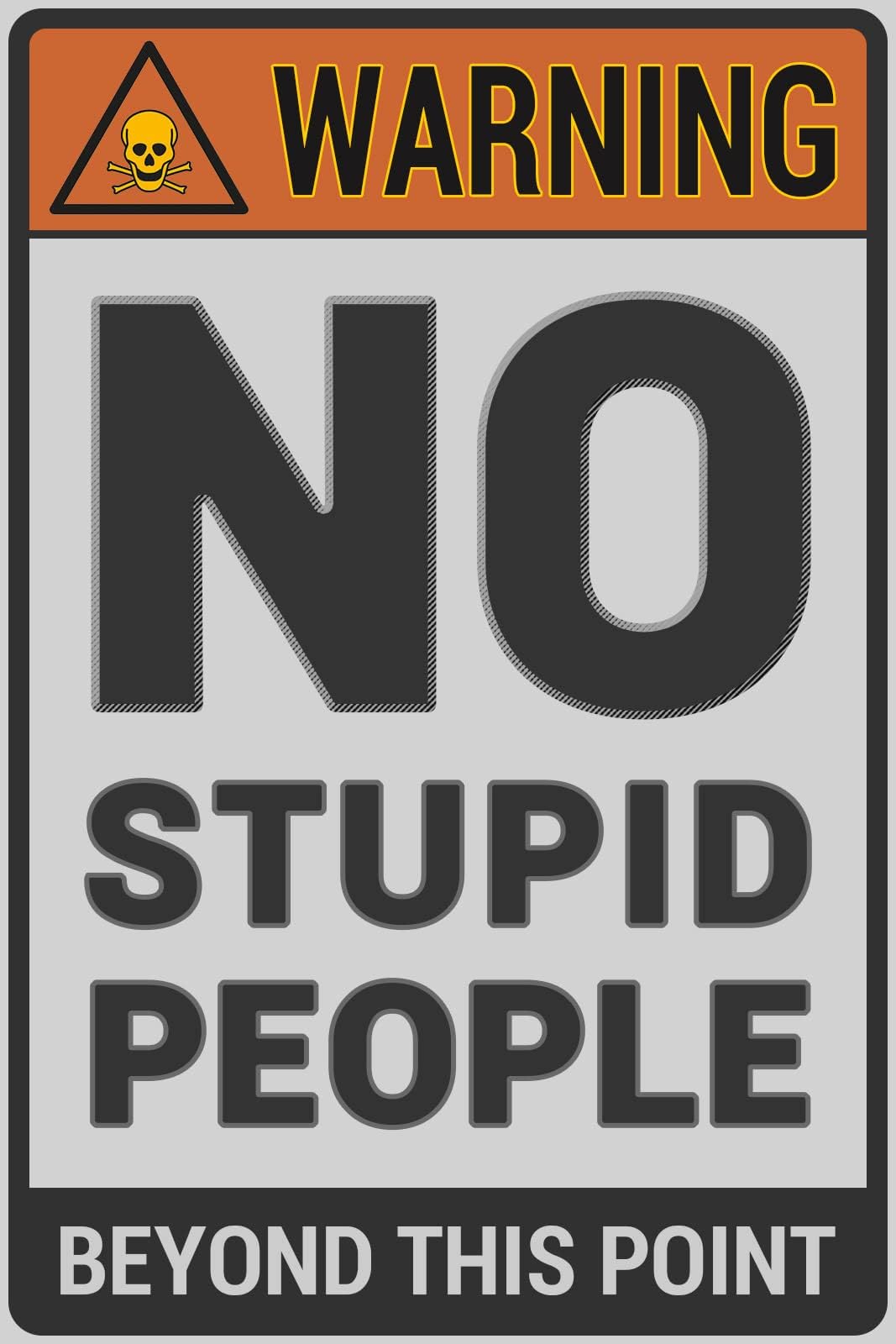Bestylez Funny Metal Sign - Room, Street Signs for Bedroom, Garage, Yard, Bar - Warning: No Stupid People Beyond This Point 12 x 8 Inch