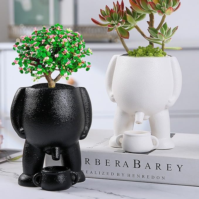 small pots for succulents Animal Ceramic Planters for Indoor Succulents and Cacti, Small Pots with  Drainage main image 1