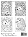 Elegant Hedgehogs Coloring Book for Adults: Relax and Express Your Creativity with Charming and Well-Detailed Hedgehog Designs