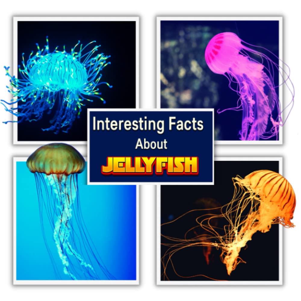 Interesting Facts About Jellyfish: Children's Picture Book for Jellyfish / Learn Facts About the Jellyfish for Kids (A Colorful Picture Book for Kids)