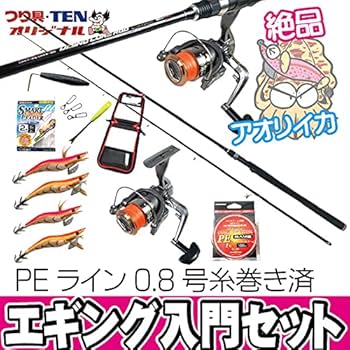D-2　エギングロッド　リール　peライン　全て新品セット DAIWA（釣り） エギング入門セット ロッド・ダイワリールPE