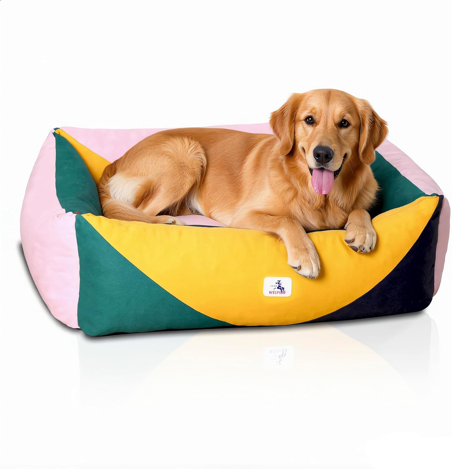 290 GSM Cotton Canvas Dog Couch Bed, Washable Removable Cover, Tough Bolster with Supportive Chopped Foam, Anti-Slip Bottom (Large)