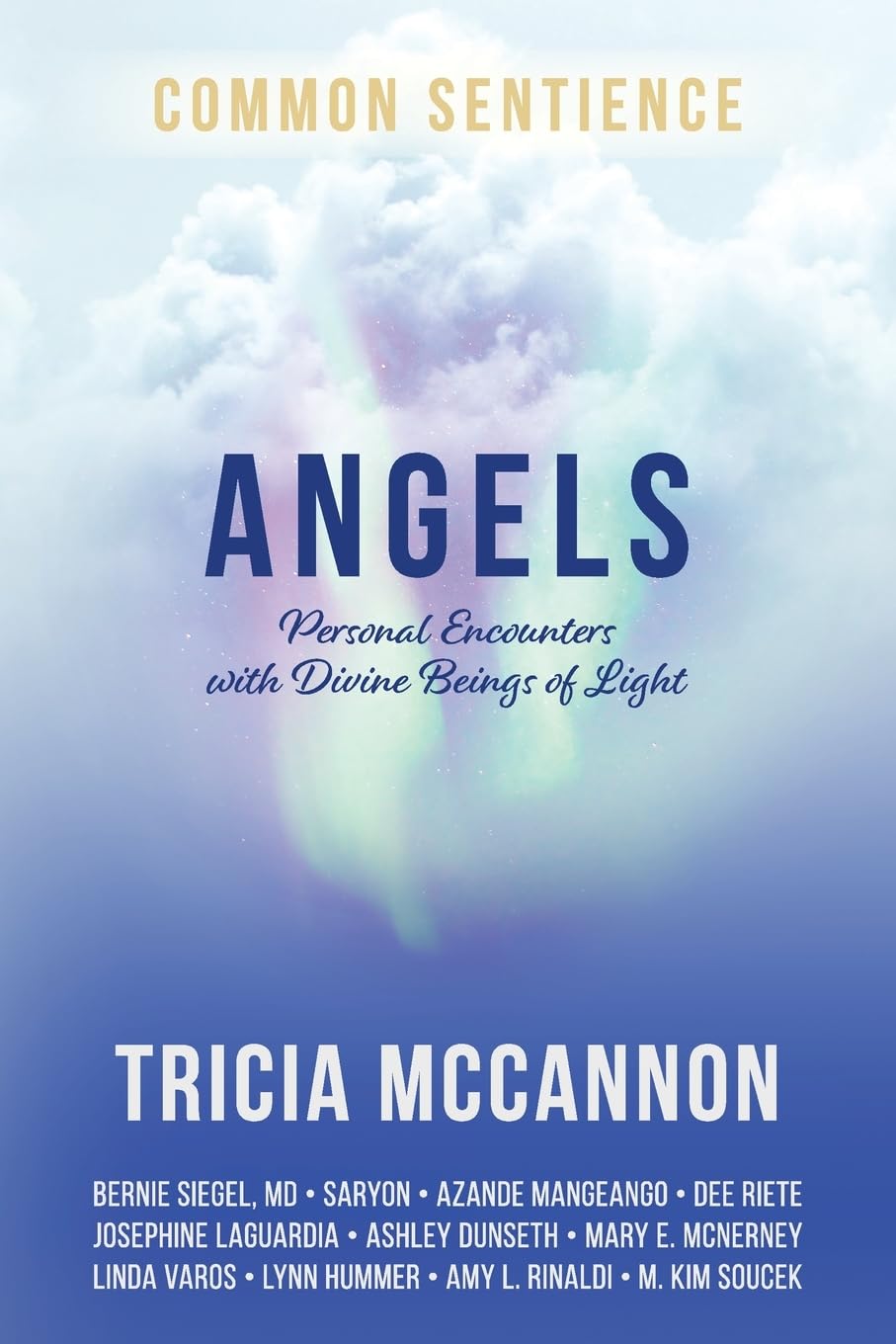 Angels: Personal Encounters with Divine Beings of Light: 4 (Common Sentience)