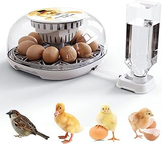 QMCAHCE Automatic Egg Incubator, Digital Hatching Eggs with Fully Automatic Turner, Poultry Hatching Machine with Humidity Control, for Hatching Chicken Duck Quail Bird Eggs(12 Eggs)
