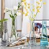 Jarrón para brotes de vidrio soplado a mano, jarrones pequeños transparentes para flores, jarrón floral decorativo para centro de mesa de boda, sala, oficina, mesa, decoración del hogar (ámbar) 5
