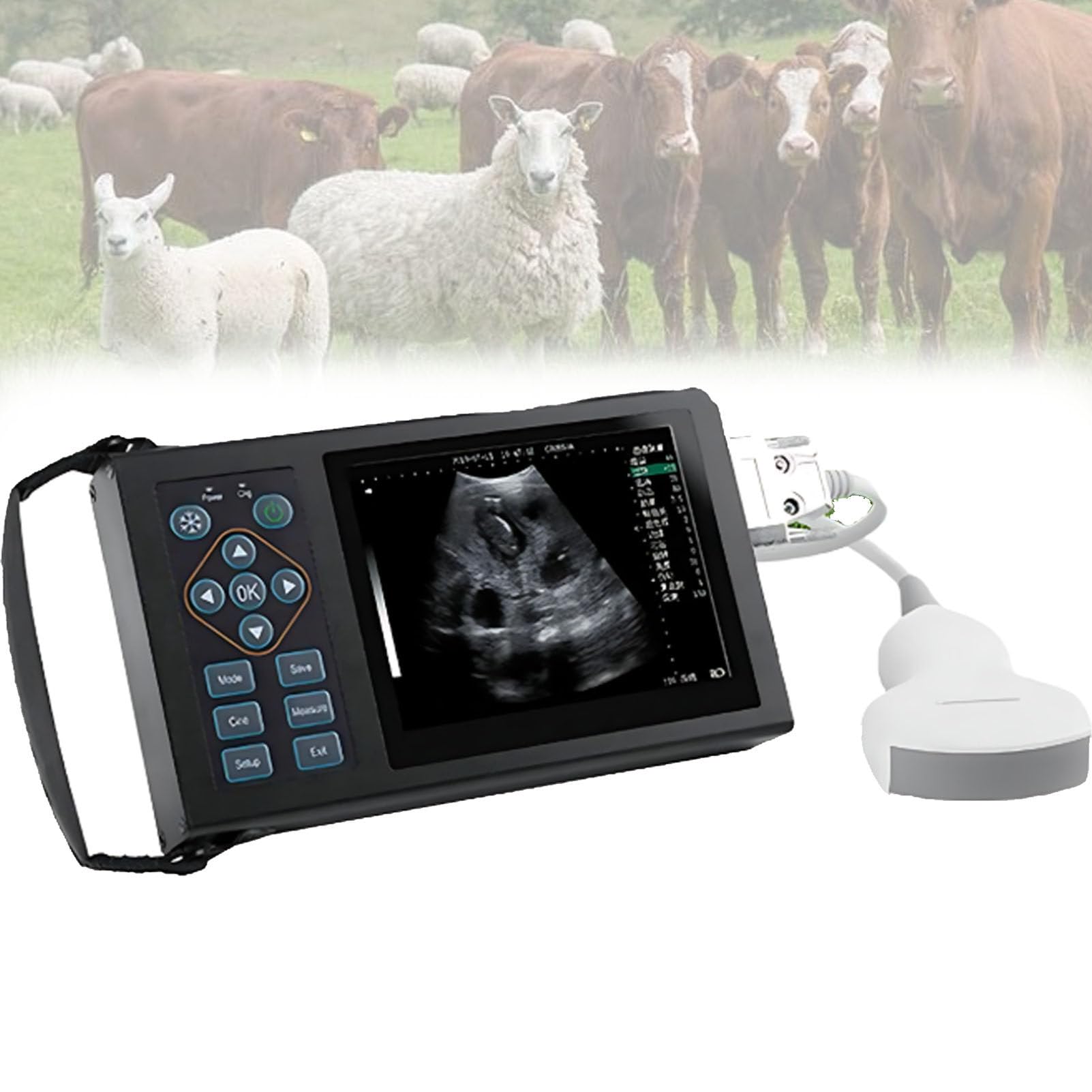Analizzatore veterinario di ultrasuono con la sonda 3.5/6.5MHz per la diagnostica dell'animale domestico e del bestiame, portatile e facile da usare per l'imaging veterinario accurato