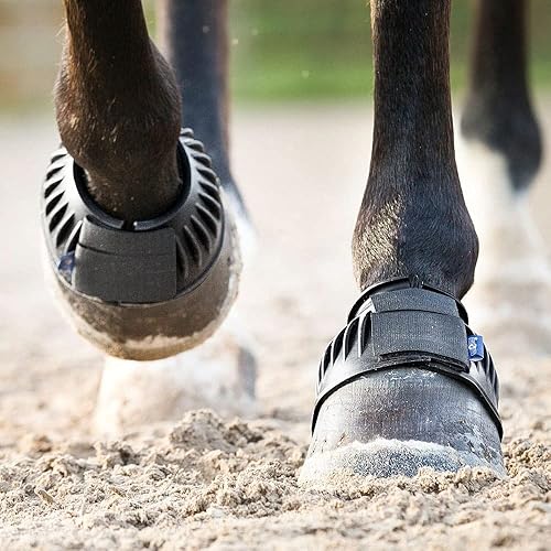 Miniatura 4 de HORZE Botas de campana acanaladas FinnTack, Negro -