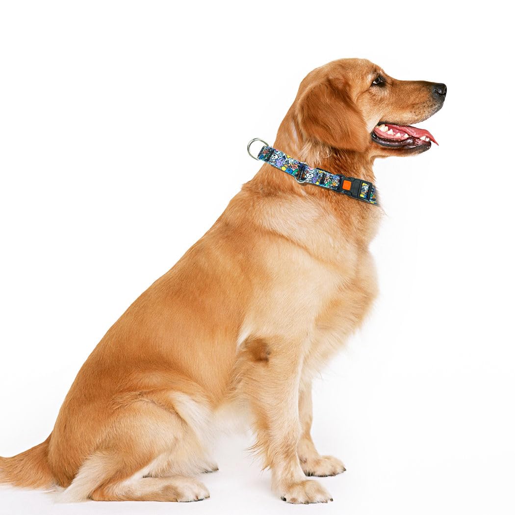 Martingale Hundehalsband – Ausbruchsicher & Schonend, Verstellbar (Gr. M), Aus Weichem Nylon, Hellblau