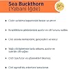 Celenes Sea Buckthorn Body Lotion All Skin Types (200 ml)
