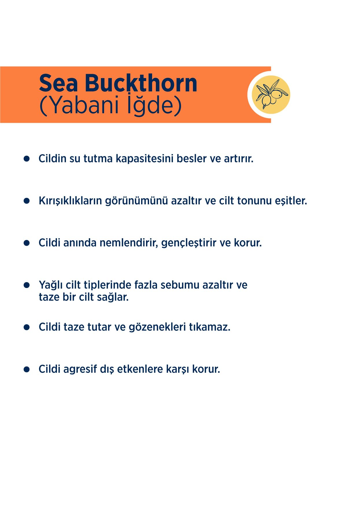 Celenes Sea Buckthorn Yaşlanma Karşıtı El Bakım Kremi 2li paket