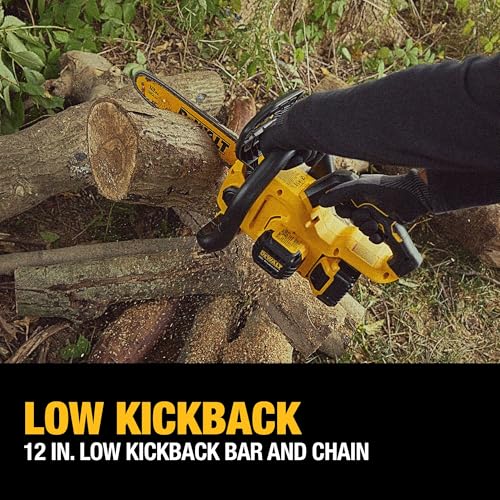 DEWALT 20V 12