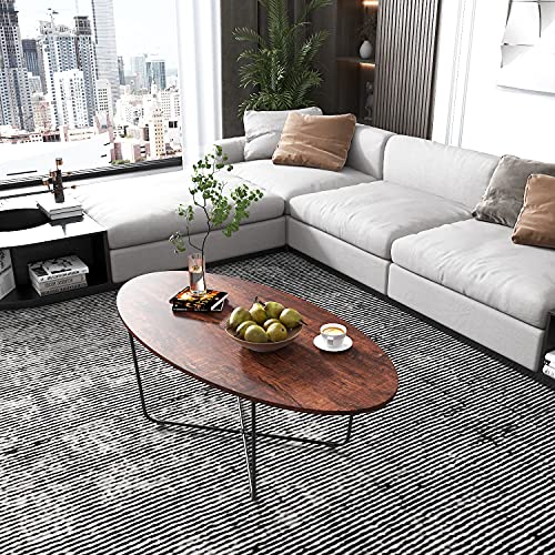 HoldoLife Oval Coffee Table for Living Room, Metal Frame, Easy to Assemble, 47inch, Sandalwood