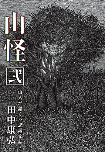 Amazon Com 山怪 弐 Japanese Edition Ebook 田中 康弘 Kindle Store Amazon Com 山怪 弐 Japanese Edition Ebook 田中 康弘 Kindle Store