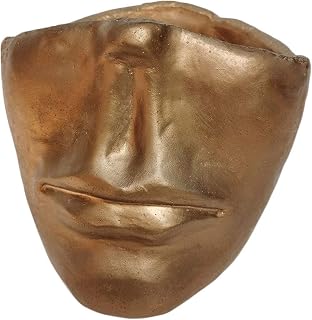 Hemoton Hoog kwaliteit 1Pc Vaso de flores decorativo retrato Artware adorno vaso de flores suculento (dourado)