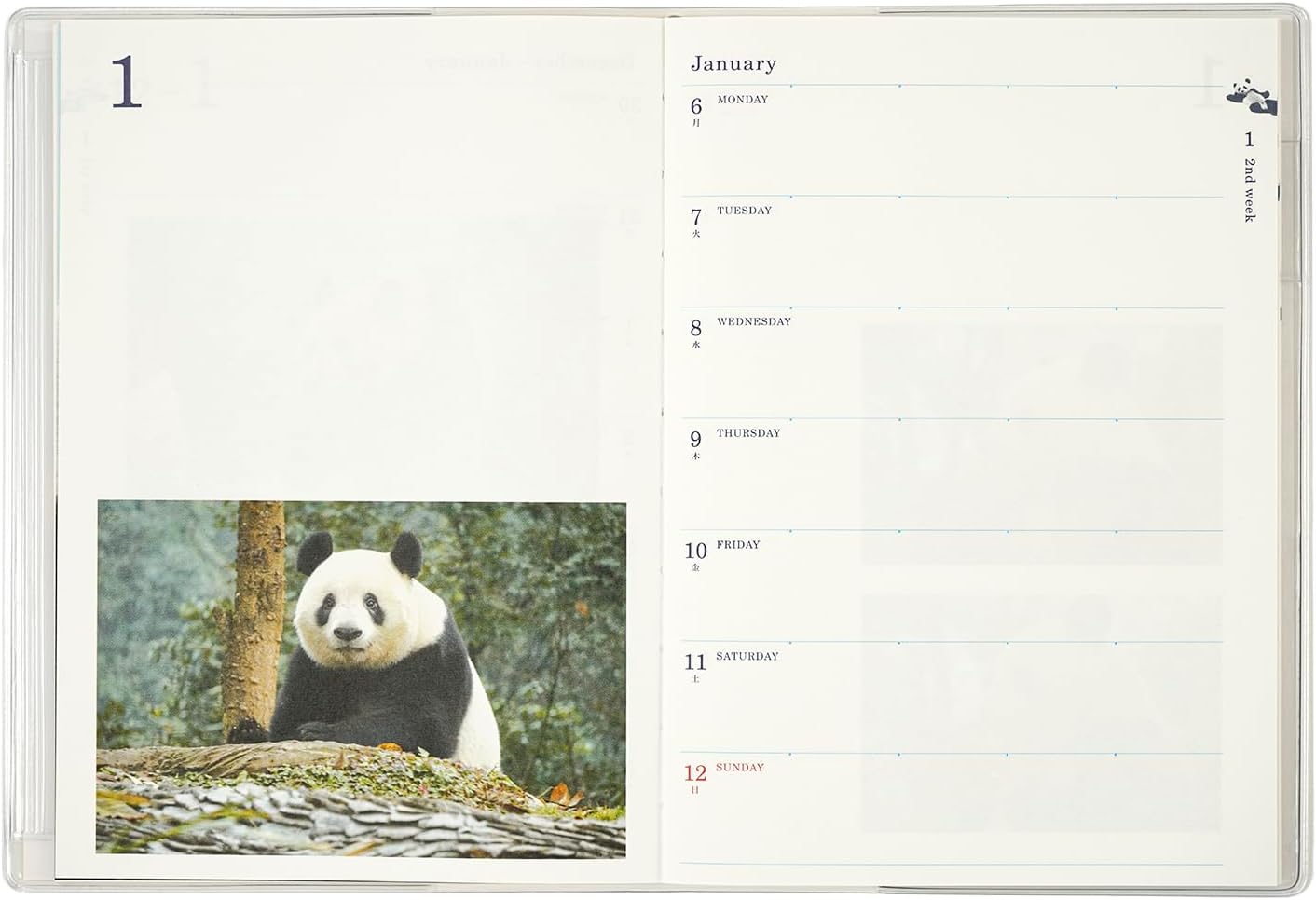 Greeting Life Panda 2025 Notebook, B6, Wicley, Softcover, Yellow, CD-1309-PA (Begins January 2025)