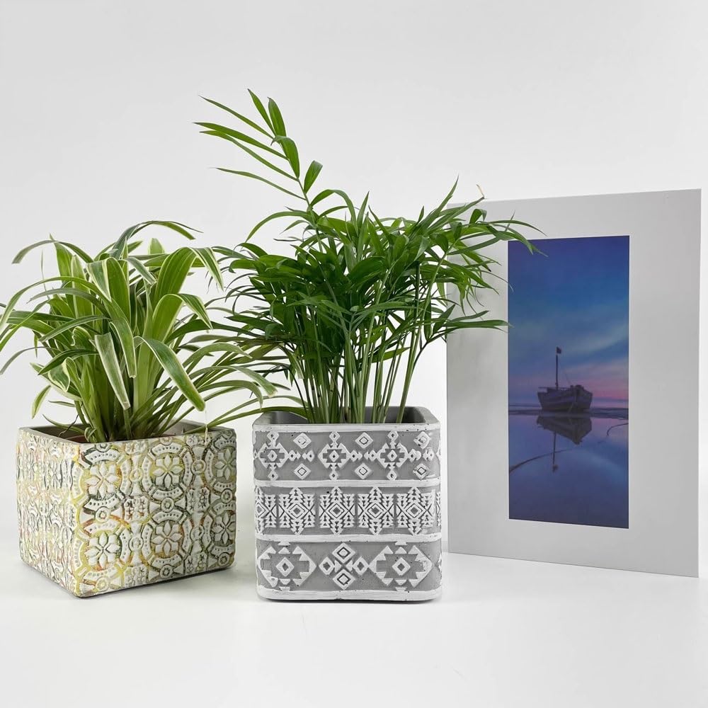 vasi per piante Vaso da fiori di forma quadrata con fori di drenaggio, vaso for piante in cemento con motivo in rilievo bianco sfondo grigio, for balcone soggiorno camera da letto Vasetti Per Piantine