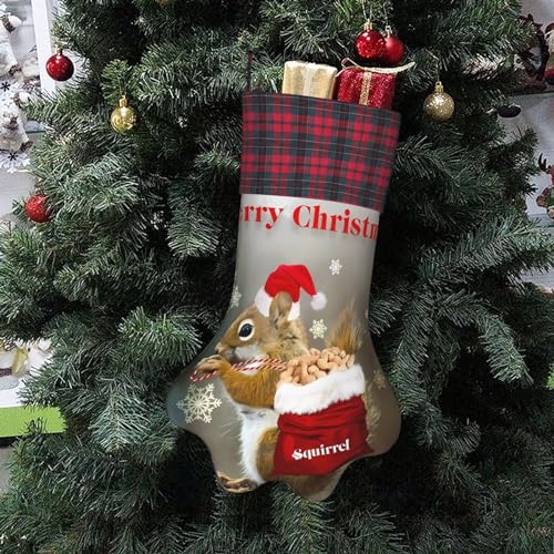 JaoXer Weihnachts-Eichhörnchen-Weihnachtsstrumpf mit Pfotenabdrücken – doppelseitig bedruckt für festliche Dekoration – einzigartige Familienurlaubskamindekoration