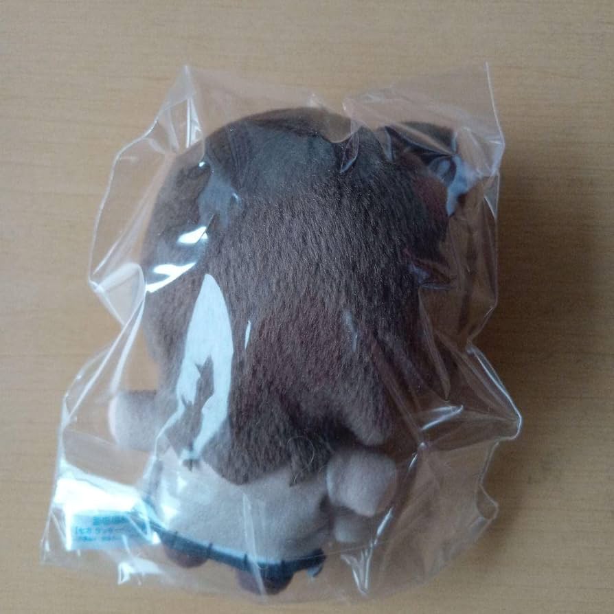 名探偵コナン セガラッキーくじ オンライン 毛利蘭セット セガラッキーくじ 名探偵コナン 毛利蘭 セット｜Yahoo!フリマ