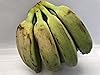 Saba Banana Philippines 2.2 lbs 1 kg