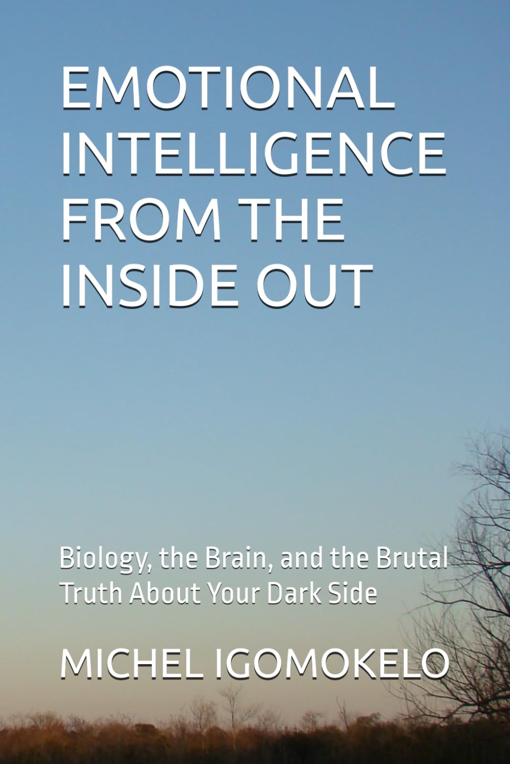 EMOTIONAL INTELLIGENCE FROM THE INSIDE OUT: Biology, the Brain, and the Brutal Truth About Your Dark Side (BECOMING LIGHT IN DARKNESS JOURNEY)