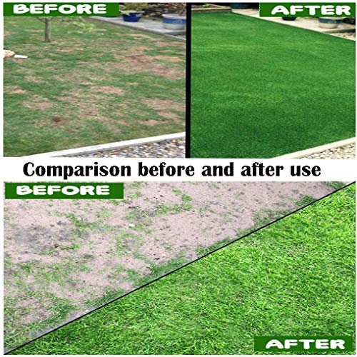 Grass Seed Mat Roll Biodegradable Lawn Seed Mat Backyard Plant