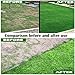 Grass Seed Mat Roll - Biodegradable Lawn Seed Mat - Backyard Plant Growing Grass Seed Germination Blanket one-Piece Solution-just Water and Grow-not Fake or Artificial Turf