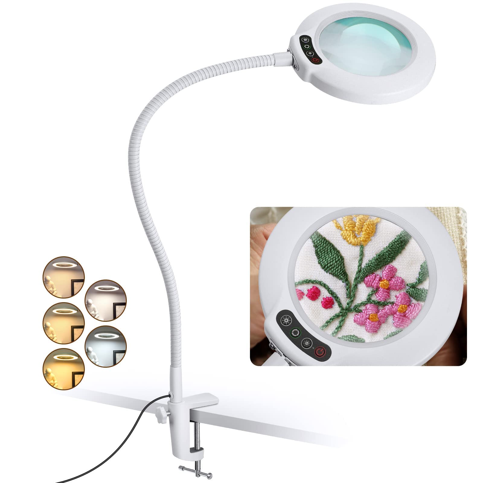 Lente d'ingrandimento con luce e morsetto per la pittura