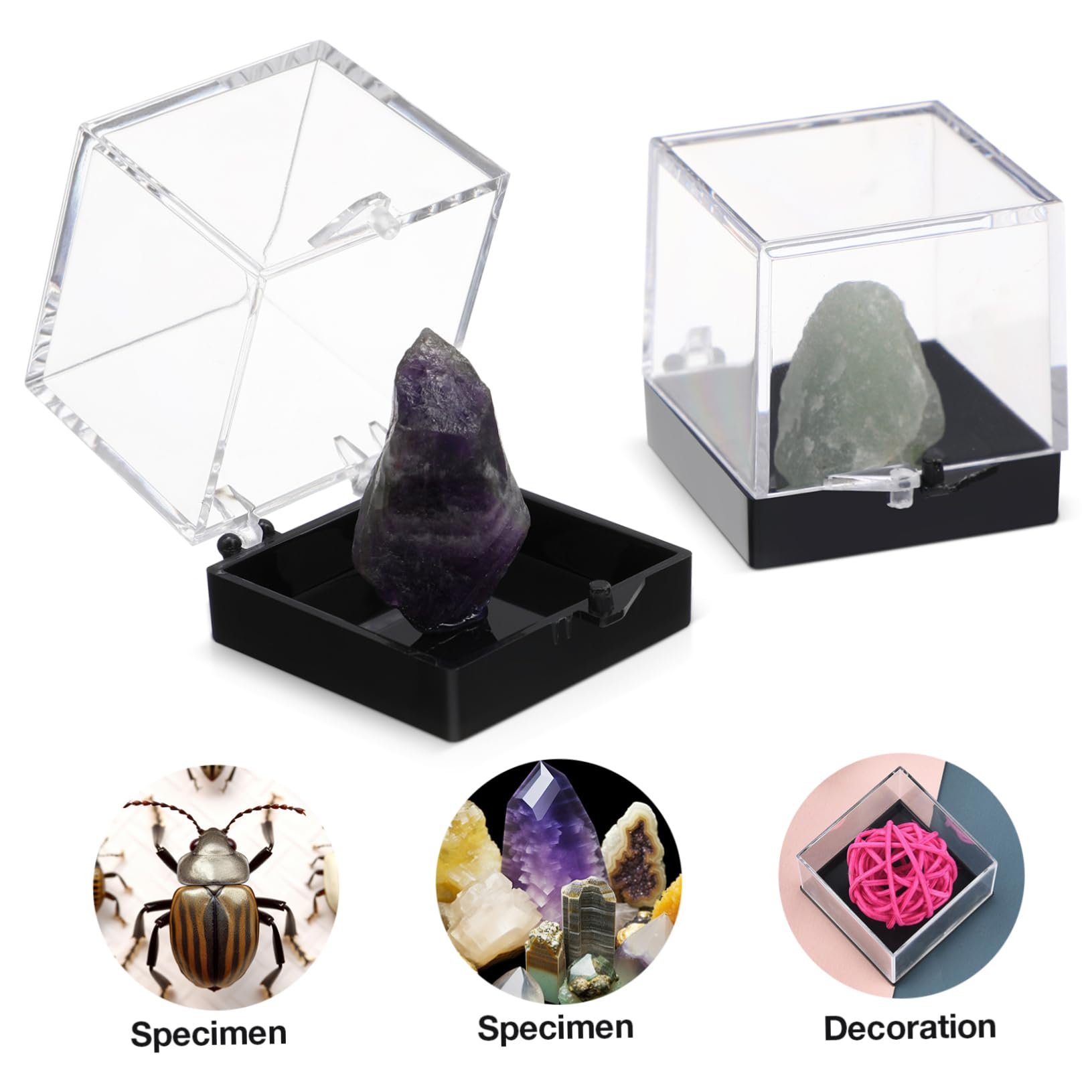 Cabilock Display Case Set of 12 Perky Boxes Minerals Mini Mineral Display Boxes Square Shape Sturdy Plastic