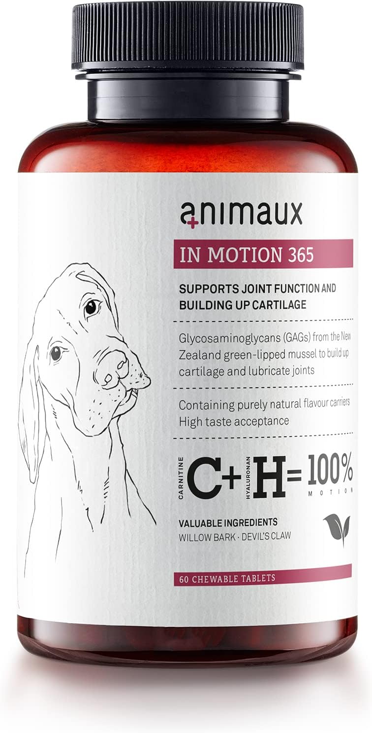 animauxin motion 365 for dogs | Green-lipped Mussel & Devils Claw | Natural Pain Relief | stiff joints, mobility & vitality I Treats with Chondroitin & Glucosamine | 60 chewable tablets