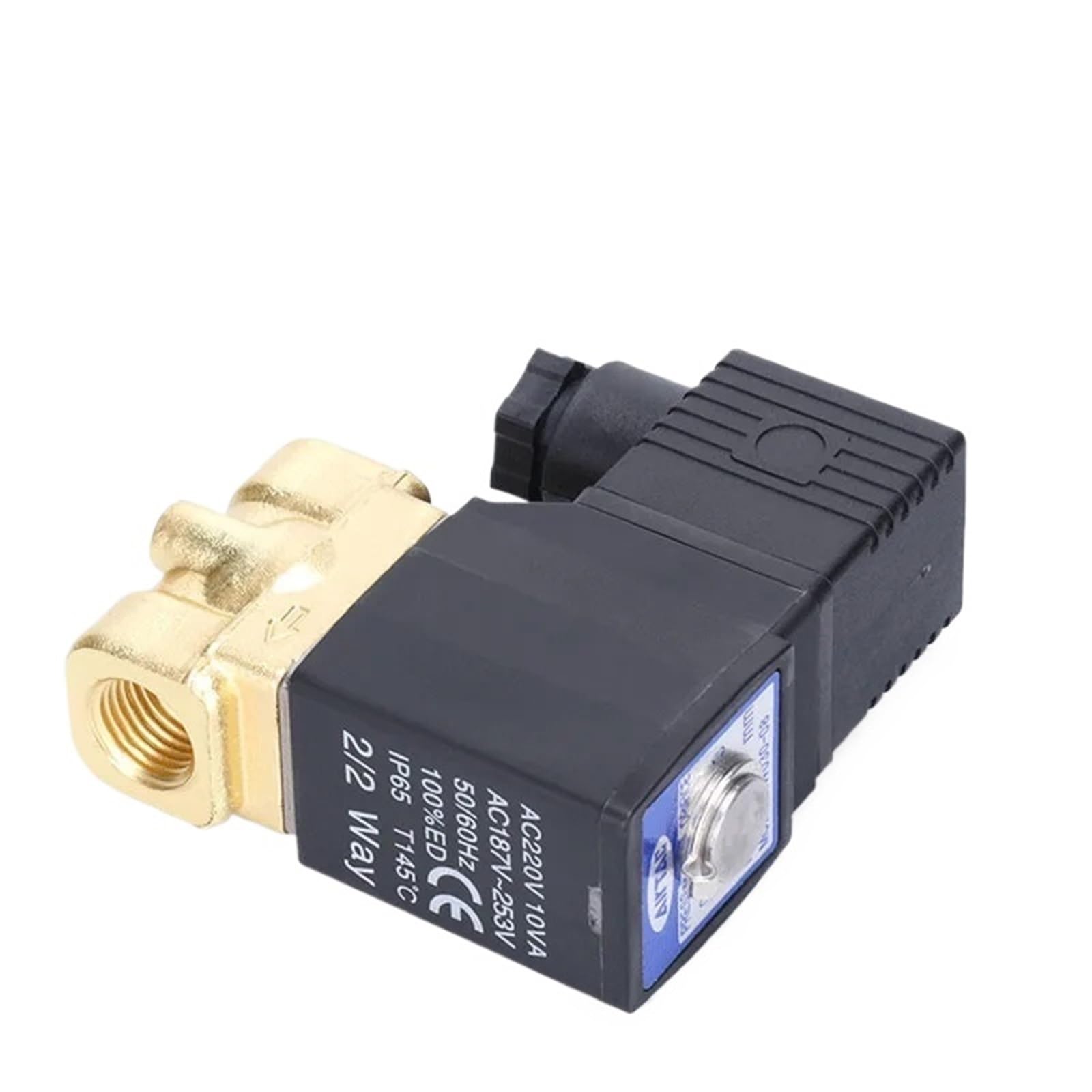 Électrovannes 2WL050-10 automatisme d'arrosage de jardin AC220V