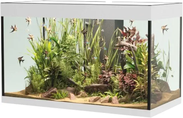 Acquario Askoll OPERA AQUARIUM 150 WHITE: Design e Tecnologia