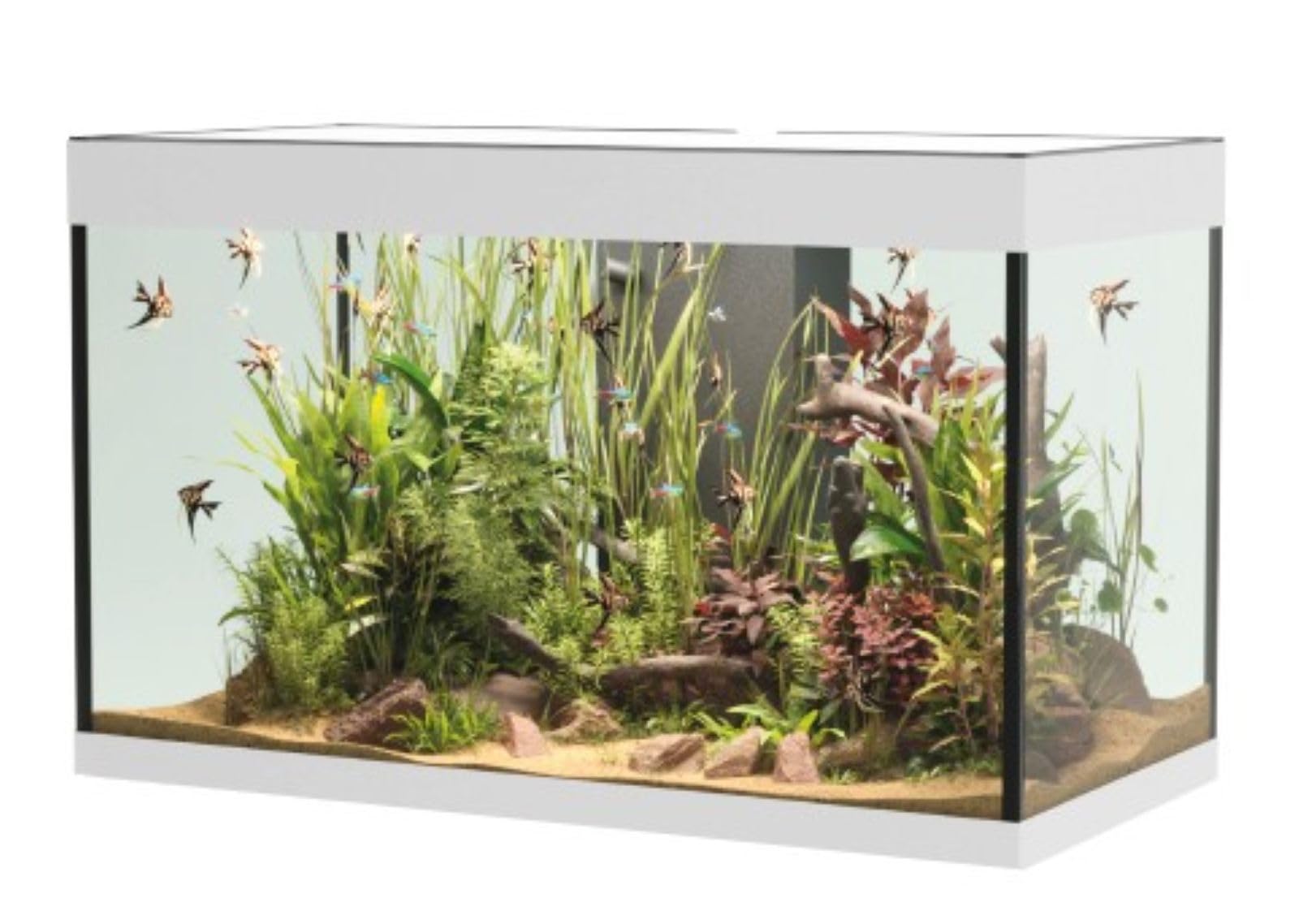 OPERA AQUARIUM 150 WHITE