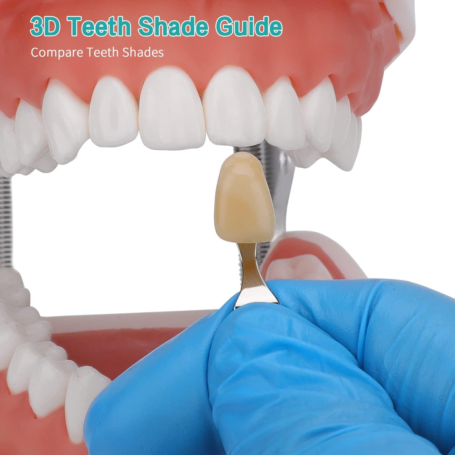 Guide de Teinte des Dents Dentaires, Ensemble de 20 Couleurs de Blanchiment des Dents Pour Comparer La Couleur des Dents Avant et AprèS Le Blanchiment