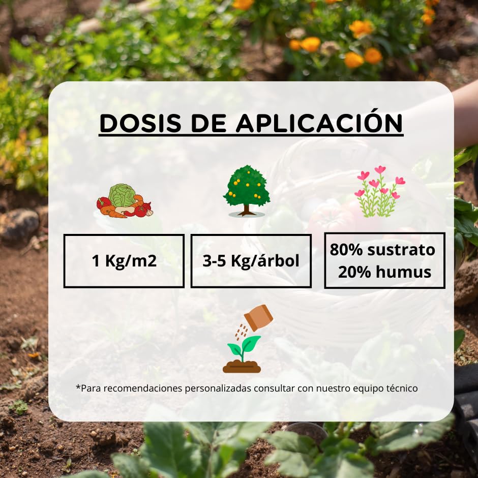 Humus-de-lombriz-Vermiduero-10L-Abono-organico-100-natural-y-ecologico-Renueva-la-tierra-y-cuida-tus-plantas