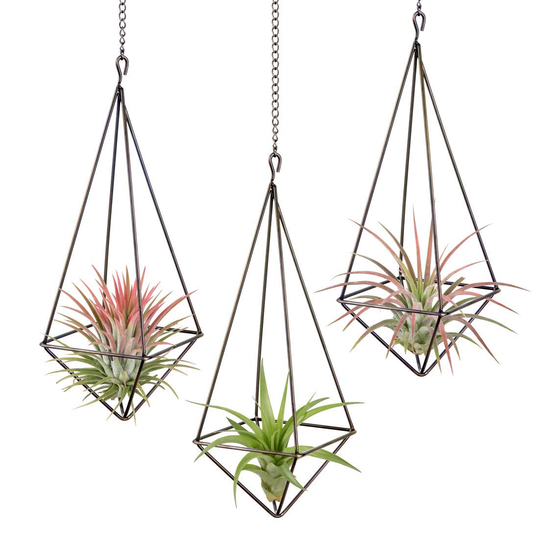 DILNAZ ART 3 Pcs Hanging Air Plant Holder Himmeli Geometric Planter Metal Airplant Rack Tillandsia Hanger with Chain in Modern Rustic Art Style for Home Decor Bronze (B099QVG856) Amazon Price History, Amazon Price Tracker