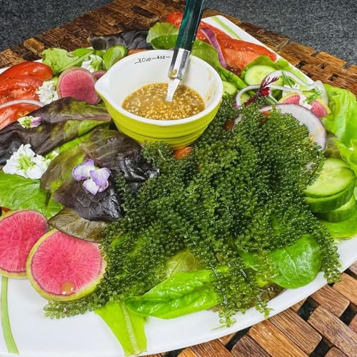 It&rsquo;s Tasty Try-It Time! - Kasama Restaurant Chicago Interview with Chef/Co-owner Genie Kwon