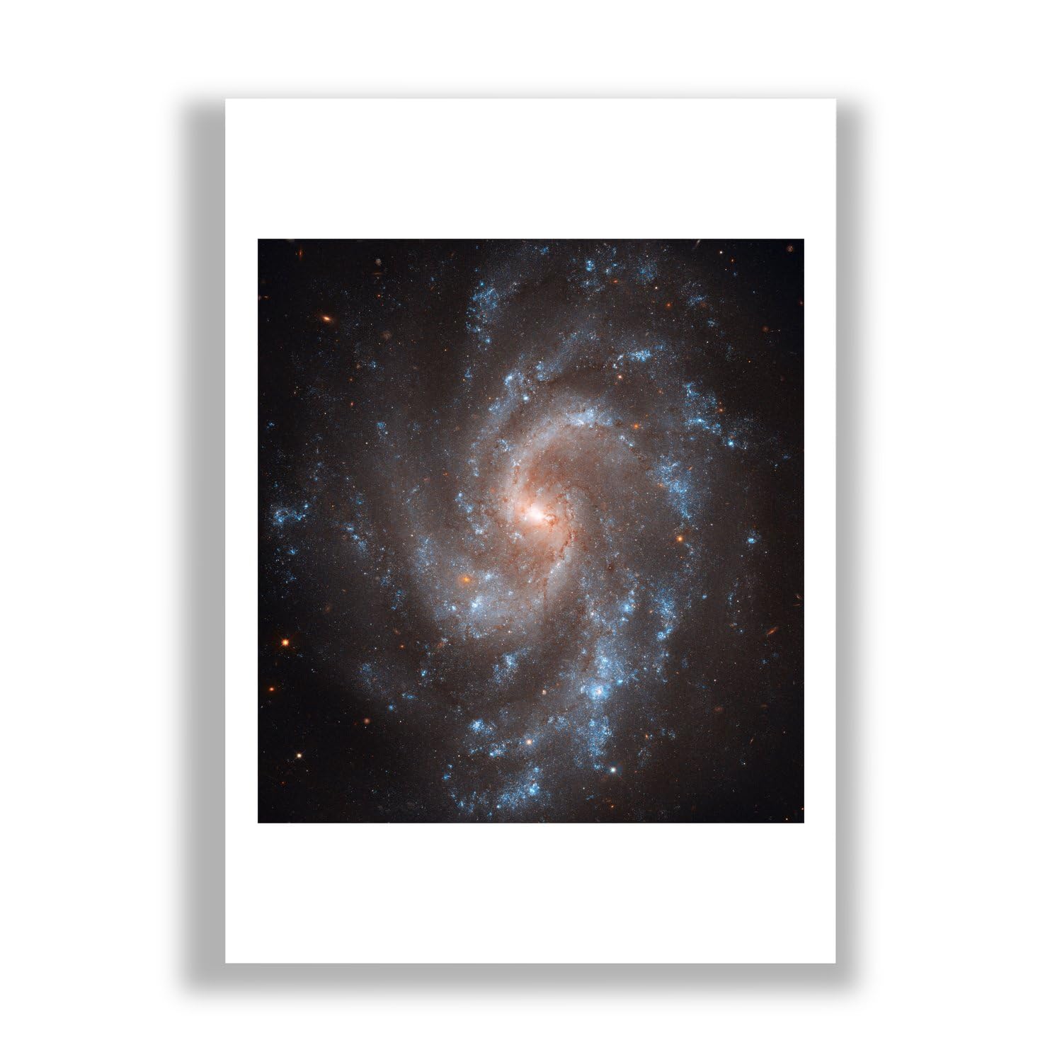 Hubble Télescope NGC 5584 impression d'art mate grand format poster