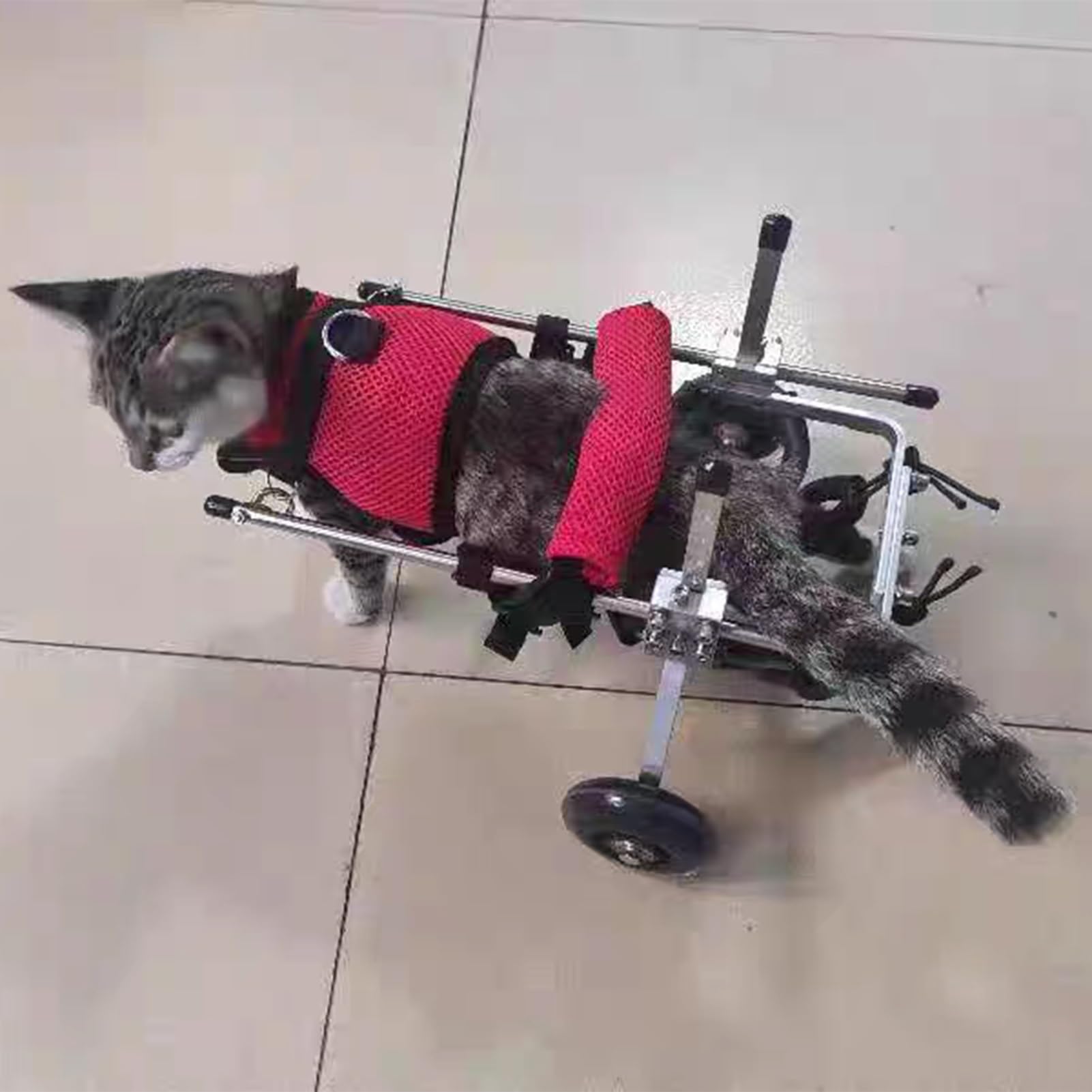 Hunderollstuhl Rollstuhl für Gehbehinderte Hunde mit Hinterbeinen, Verbesserter Mops-Rollstuhl für Besonders Kleine Haustiere, Mobilitätshilfe für Kätzchen mit Beinstütze(Size L)