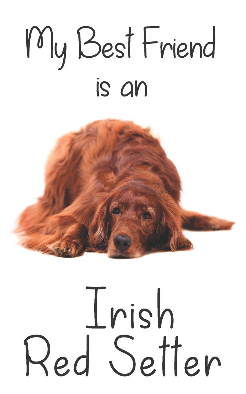 Daisy Doodle PrintsMy best Friend is an Irish Red Setter: 8" x 5" Blank lined Journal Notebook 120 College Ruled Pages