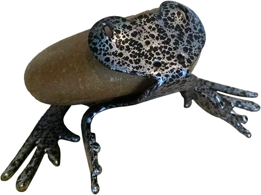 Frog - Mini
