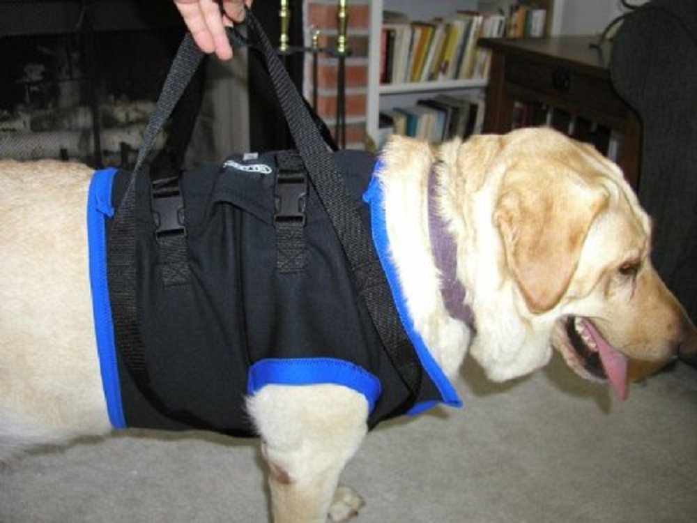 WALKABOUT 歩行補助ハーネス 前脚用 Lサイズ 大型犬用 リフトハーネス Amazon | WalkAbout 前肢用 歩行補助ハーネス 大型犬用 L ブラック